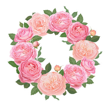 Decorative vintage pink roses and bud with leaves in round shape. Vector set of blooming flower for your design. Adornment for wedding invitations and greeting card.