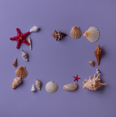 Summer background: Still life composition of beautifully arranged frame of seashells and sea stars on purple table. Top view. Flat lay.