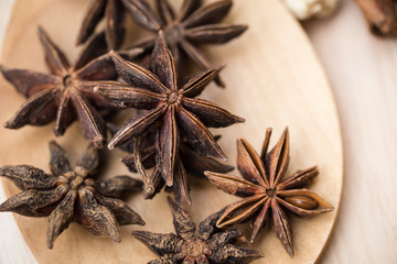 dried herb collection set. mix of dry plant seed herbal for nature alternative medical.