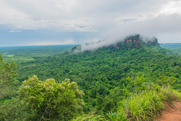 Fototapeta premium The soft focus of green forest,foggy forest hils at Phu tok ,Bung Kan provice , Thailand.