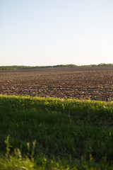 FIELD