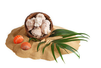 Sea sand and shells. Summer vacation.