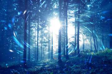 Blue foggy forest fairytale with spiral circle fireflies bokeh background. Color filter effect used.