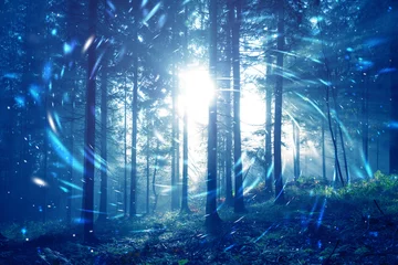 Fensteraufkleber Blaues, nebliges Waldmärchen mit Spiralkreis-Glühwürmchen Bokeh-Hintergrund. Farbfiltereffekt verwendet. © robsonphoto