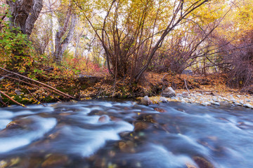 Obraz na płótnie Canvas Autumn creek