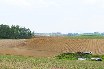 美瑛 丘の風景