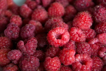 ripe and red raspberry 