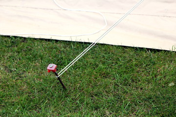 Modern steel and plastic tent peg hammered into the grass attached to a guy rope