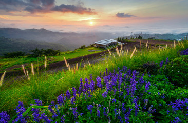 sun over mountain mist in sunrise,mist on sunrise,mist over mountain during sunrise