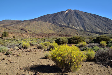 Vulkanische Landschaft auf Teneriffa 
