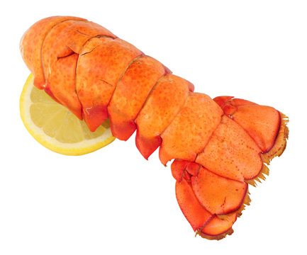 Two cooked lobster tails isolated on a white background