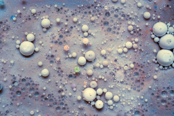 Colourful and beautiful effect of water paint and oil mixing. Multicoloured abstract bubbles.