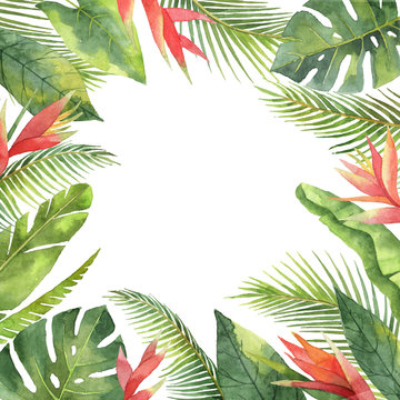 Watercolor frame of tropical flowers and leaves isolated on white background.