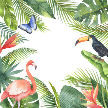 Watercolor frame of tropical birds and exotic plants isolated on white background.