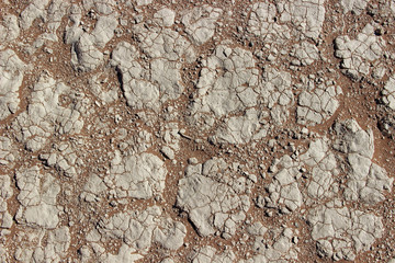 Wüste - Ausgetrocknetes Gewässer