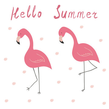 Vector print with pink flamingo