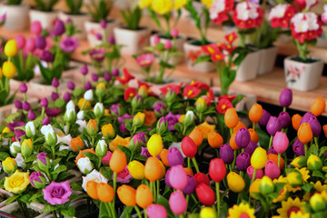 Colorful fresh flowers in a row