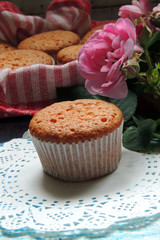 Cupcake and Rose