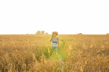 Musician holding acoustic guitar and walking in summer fields at sunset