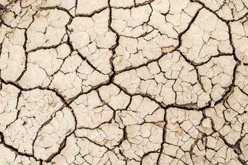 Drought land texture
