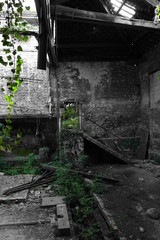 Naklejka premium Riche de la nature