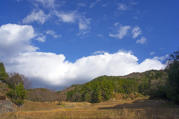 Fototapeta premium 里山