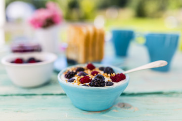 Tasty breakfast in the garden. Yogurt with fresh berry fruit and toast. 