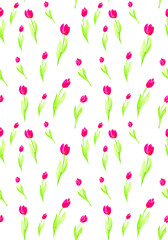 Seamless pattern flowers on a white background. Watercolor illustration of pink tulips.