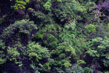 The hill on blue lagoon in Thailand.
