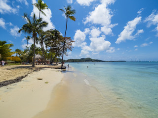 Fototapeta na wymiar Martinique, kleine Antillen, Inseln über dem Winde, Le Marin, Blick auf Sainte - Anne, Strand bei Club Med Les Boucanier