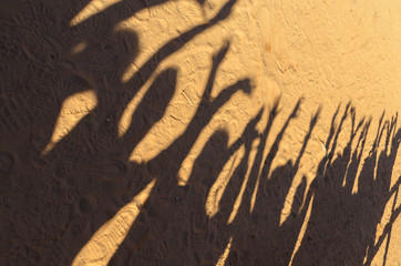 Schatten im Sand
