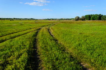 Wide green meadow