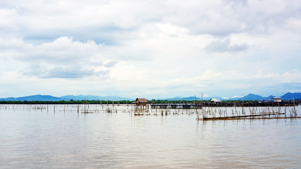 Fototapeta na wymiar fisherman village in the lagoon.