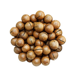 Macadamia nuts on a white background.