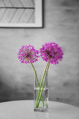 Beautiful garlic flowers on table
