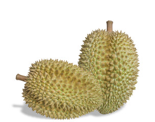 durian mon thong is king of fruits durian on white background,close up