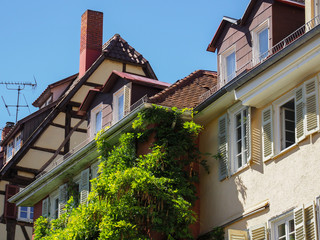 Fototapeta na wymiar Altstadt Tübingen am Neckar