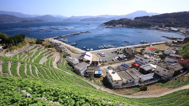 遊子水荷浦の段畑（愛媛県宇和島市）　右パン