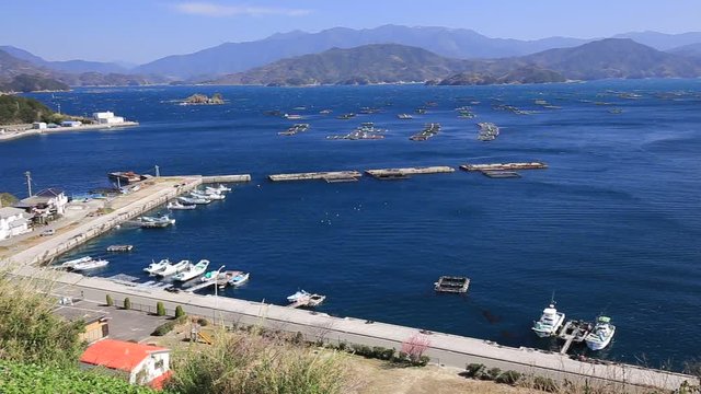 遊子水荷浦の段畑（愛媛県宇和島市）　右パン
