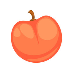 Fresh red apple isolated on white graphic illustration