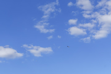 white fluffy clouds in the blue sky with three birds.