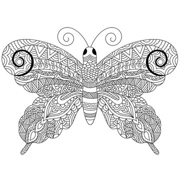 Zentangle butterfly, hand drawn doodle illustration.
