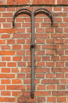 Maueranker an einer alten Backstein Fassade