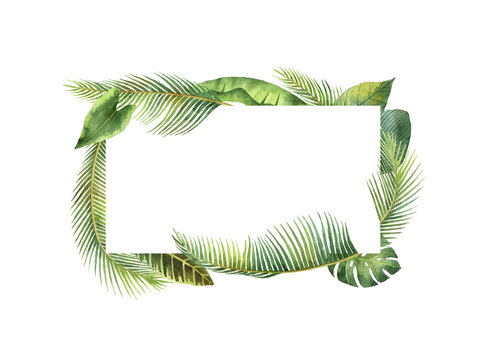 Watercolor rectangular frame tropical leaves and branches isolated on white background.