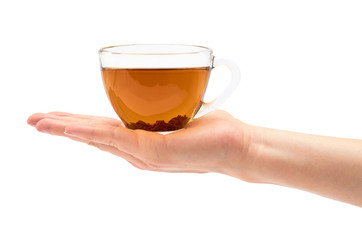 Female hand holds a cup of tea. Isolated on white background