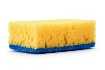 New and clean sponge for cleaning. Isolated on white background