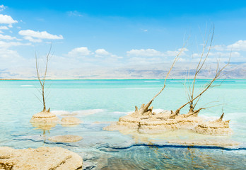 Fototapeta premium Dead sea