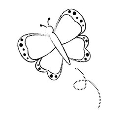 Beautiful butterfly isolated icon vector illustration graphic design