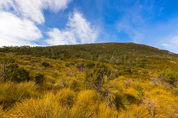 Keuken foto achterwand Cradle Mountain Different Vegetation covering the slopes of Mount Campbell, Cradle Mountain, Tasmania, Australia.