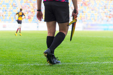 The match referee at the stadium